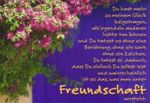 Freundschaft...