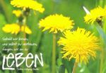 Leben...