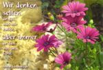 Wir denken...